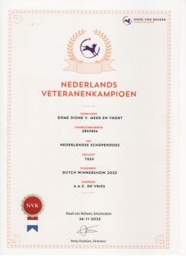 schapendoes Dione Veteranen Kampioen