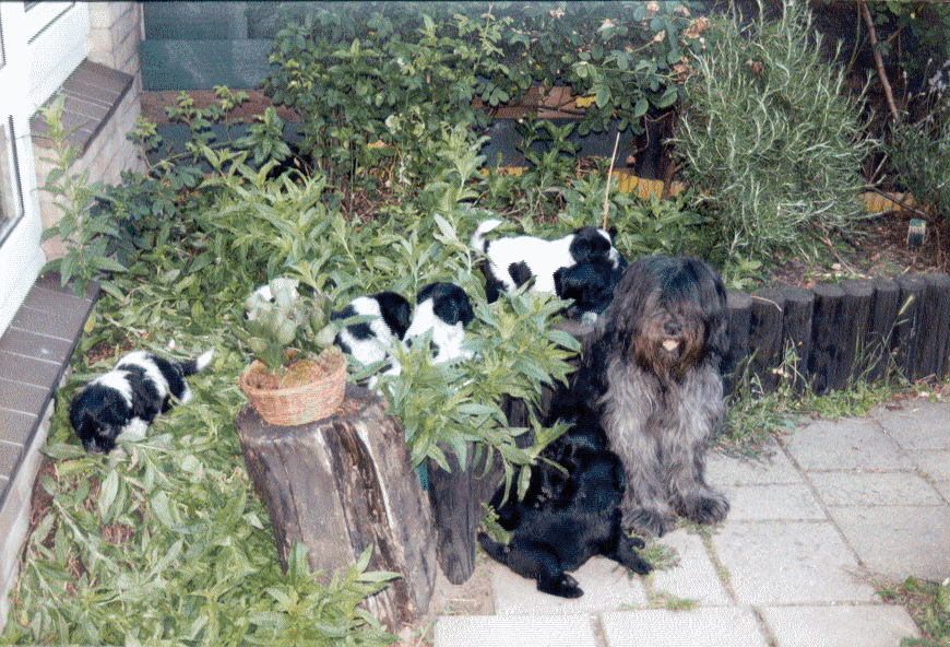 Neaira als trotse Moeder