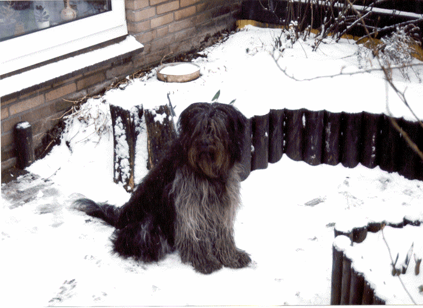 Een winterse Neaira.