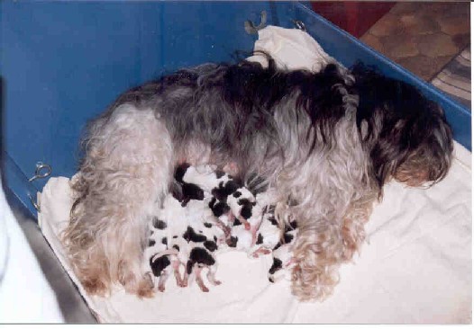 nest nellie jan 07 1 dag oud