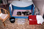 schoonmaken??